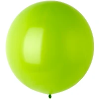 1102-1714 Э 24"/280 Фэшн Kiwi