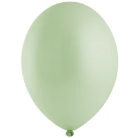 1102-1785 В 105/452 Пастель Экстра Kiwi Cream