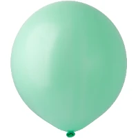 1102-2907 И 18"/077 Пастель Mint Green