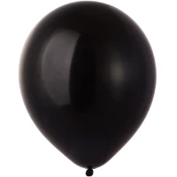 1102-2923 В 150/025 Пастель Экстра Black