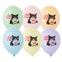 1103-3205 Шар с рисунком 14" Кот сердитый 2цв