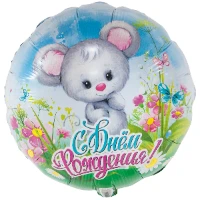 1202-3243 К 18" РУС ДР Мышонок в цветах