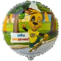 1202-3293 К 18" РУС ДР Барбоскины Дружок