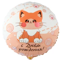 1202-4040 К 18" РУС ДР Котик усатый