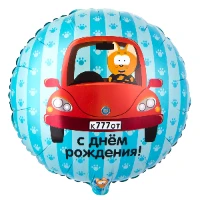 1202-4109 К 18" РУС ДР Котэ в машине