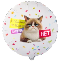 1202-4242 К 18" РУС С ГОДАМИ ТЫ ЛУЧШЕ Кот Сердитый
