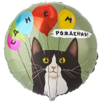 1202-4259 К 18" РУС ДР Кот и воздушные  шары