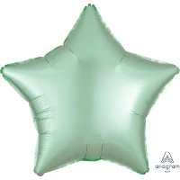 1204-0904 А Б/РИС ЗВЕЗДА 19" Сатин Mint Green