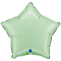 1204-1674 Г Б/РИС ЗВЕЗДА 18" Сатин Glazed Mint