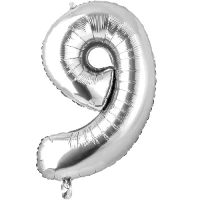 1207-3666 К ЦИФРА 9  26" Silver