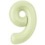 1207-6576 Р ЦИФРА 9  40" Пыльный лайм