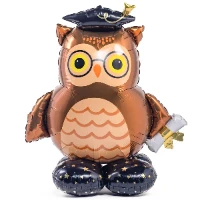 1208-0492 А ФИГУРА/P70 AIR Сова шапочка выпускника