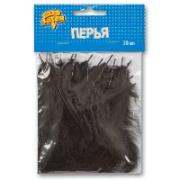 1501-4202 Перья декоративные Черные 10см 30шт/G