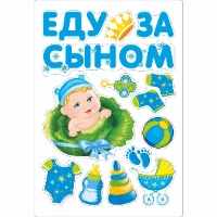 1501-5761 Магнит д/авто ЕДУ ЗА СЫНОМ 13 шт