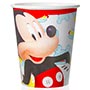 1502-6152   Mickey Mouse 250 6