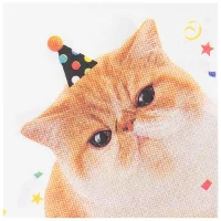 1502-6547 Салфетка Котики фотографичные 25см 12штG