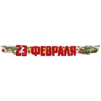 1505-2446 Гирлянда 23 ФЕВРАЛЯ 170см