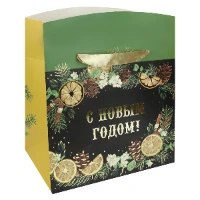 1509-2372 Пакет-коробка бум Аромат зимы 23х20х14см
