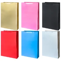 1509-2378 Пакет бум Цветной микс Гигант 50х72см/G