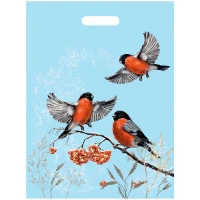 1509-2634 Пакет п/э Снегири 37х48см