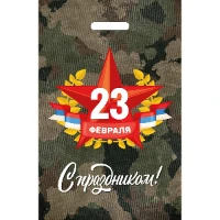 1509-2675 Пакет п/э 23 февраля 20х30см