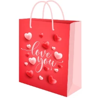 1509-2832 Пакет бум LOVE YOU 12х15см