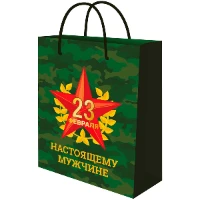 1509-2835 Пакет бум Праздник мужества 18х23см