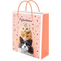 1509-2844 Пакет бум Котопирамида 26х33см